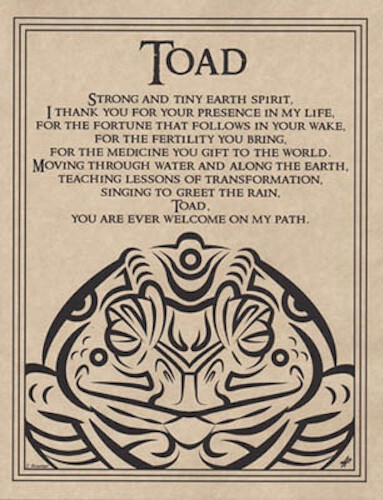 Toad Blessing Parchment-Like Page for Book of Shadows, Altar!