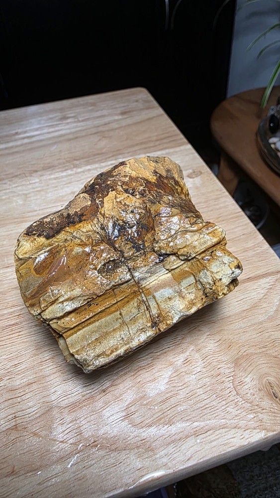 owyhee picture jasper