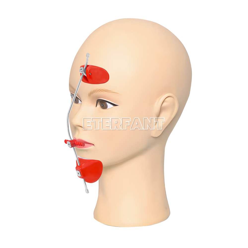 ETERFANT Dental Ortho Adjustable Forward Pull Face Headgear Single Bar Blue+Red