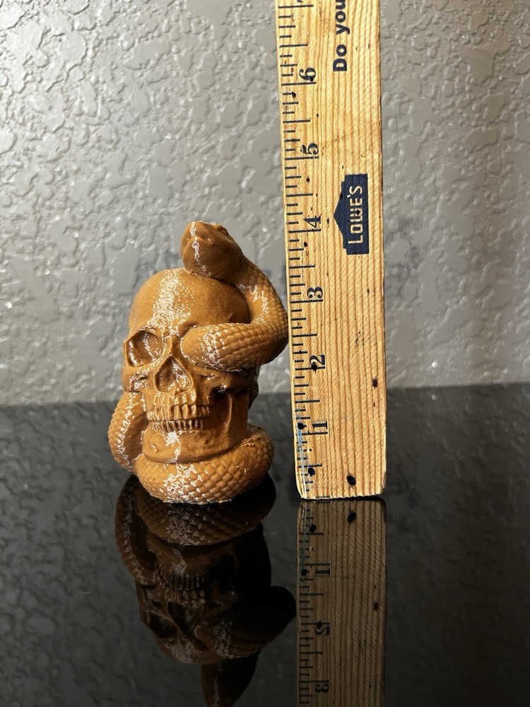 A 3D Printed Skull with Snake Crawling Through It brown