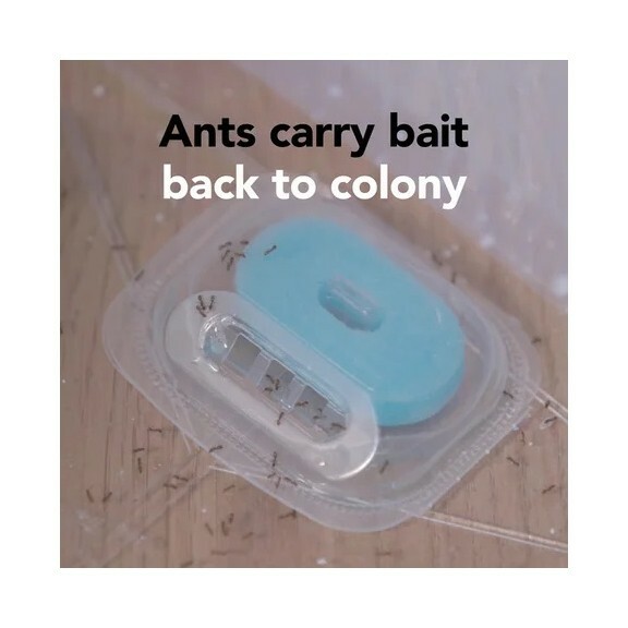 Raid Max 4 LIQUID ANT BAIT STATIONS | KILLS THE QUEEN & COLONY | READY TO USE