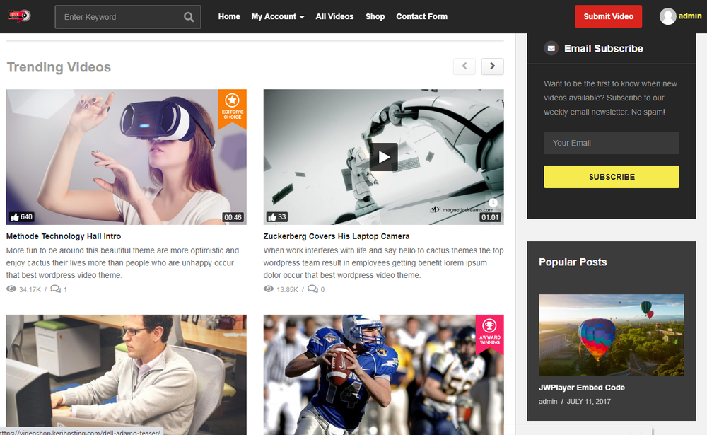 Powerful Video Website - Free installation and support