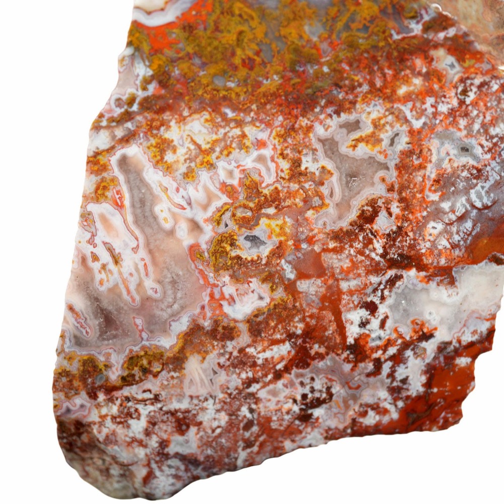 Apple Valley Agate Slab - Multicolor Fortification Tubes Moss