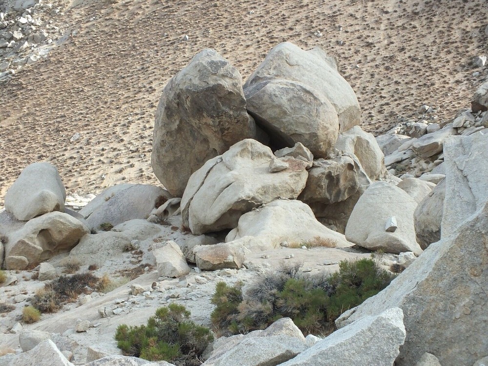 granite - teaching hand/display specimen of typical granite
