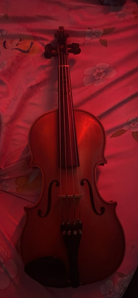 Viola Size 3/4