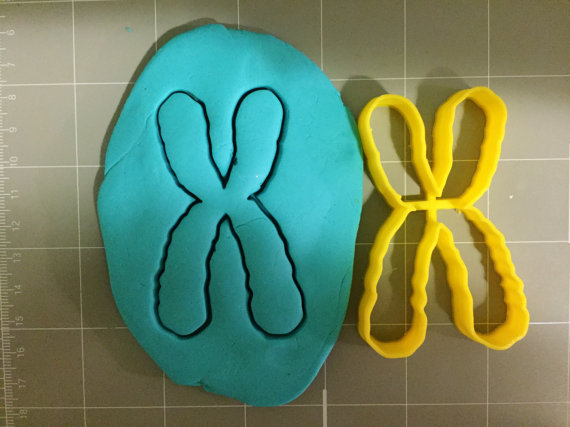 Chromosome Cookie Cutter - Choose Your Own Size