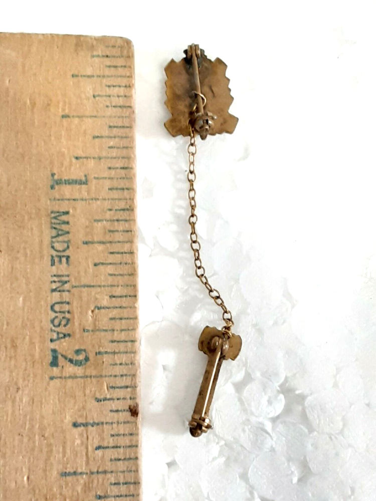 VINTAGE RRC LUTHERAN PIN