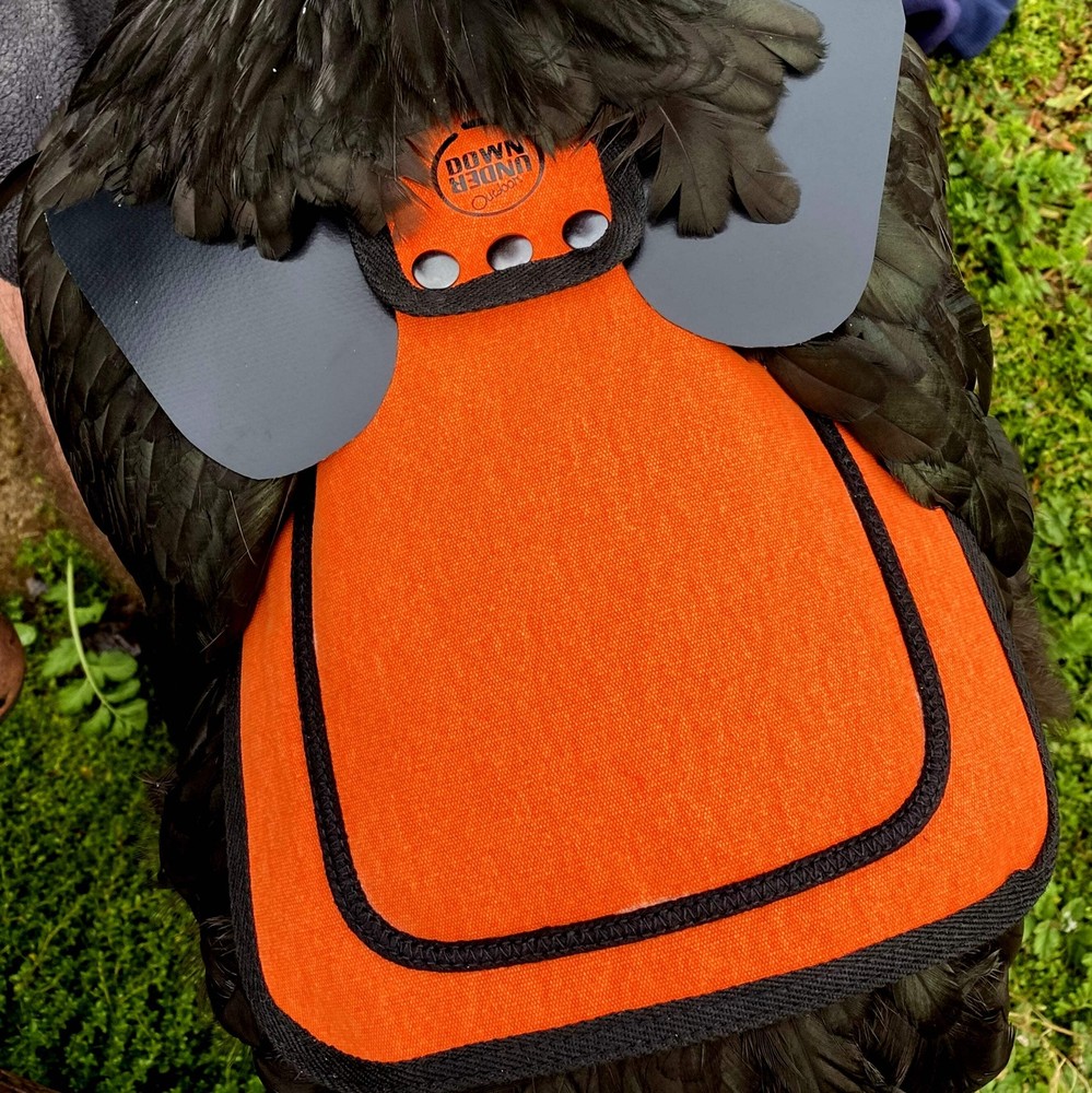 OFFICIAL DOWN UNDER OUTDOORS Extra Large Chicken Saddle