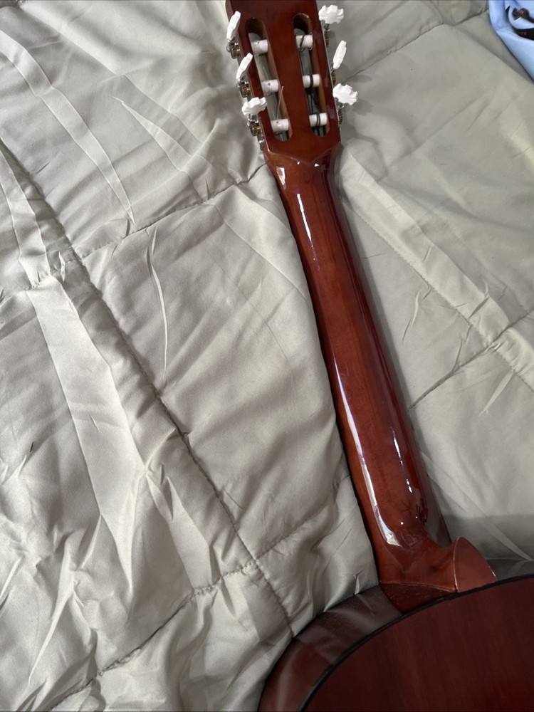 ariana guitar 570