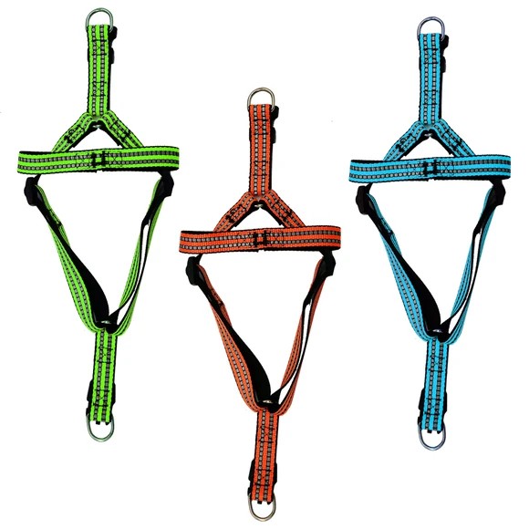 Adjustable Reflective Dog Harness, Assorted Colors, up to 25lbs