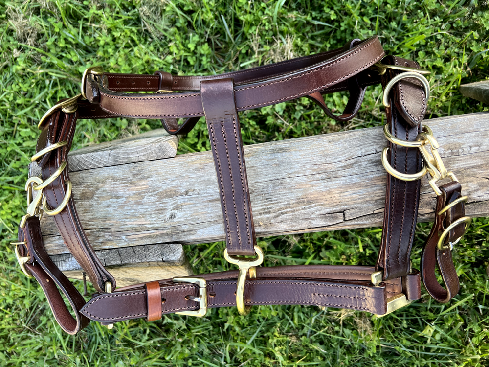 Leaders Heavy Duty True Draft Size Halter Bridle with Solid Brass Hardware