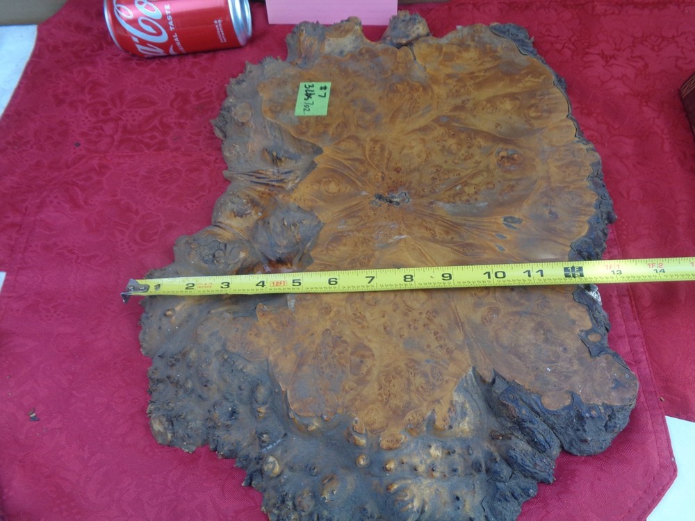 Burlwood Tree Slice #7