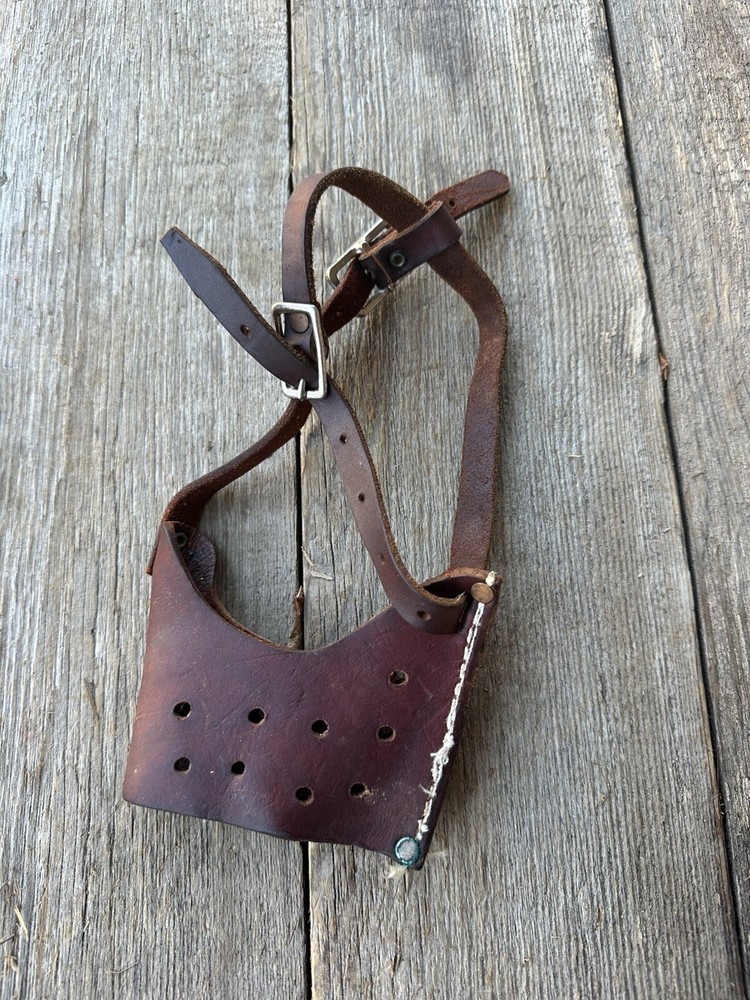 Leather Dog Muzzle