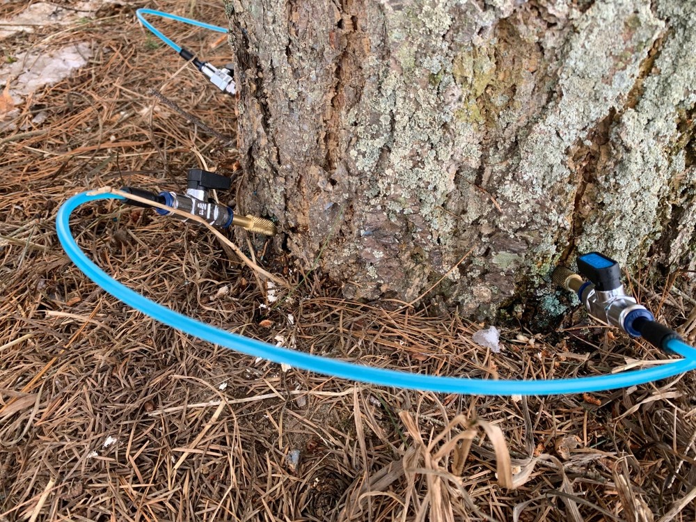 Arborists Tree Injector Tree Defend 2-liter kit w/Brass Valves