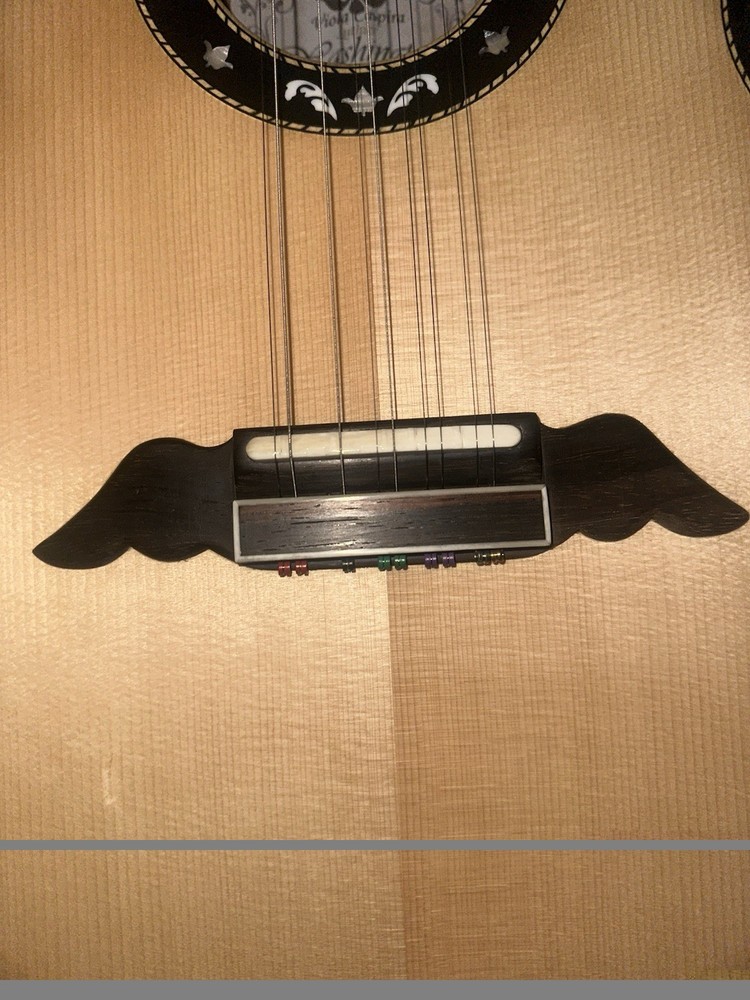 Washington Moretti 10 String Viola