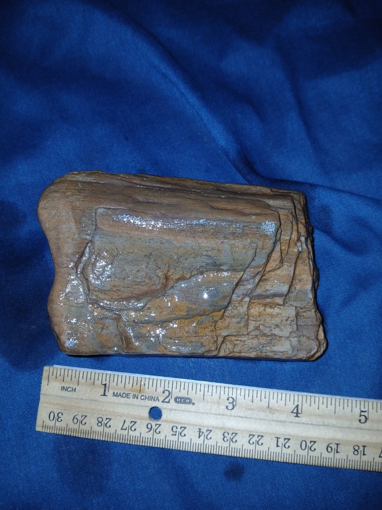 12 oz Petrified Wood