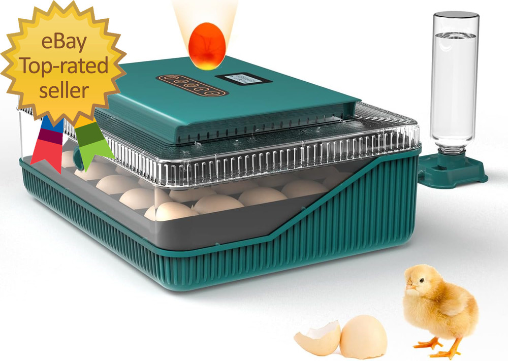 Automatic Egg Incubator for Hatching Eggs  Egg Incubator with Automatic Egg Turn