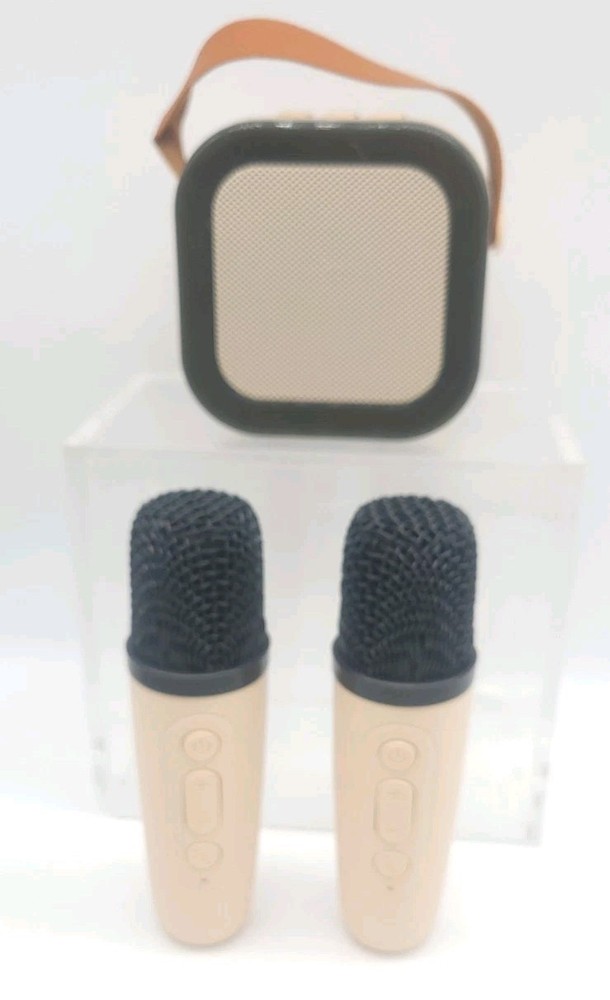 Wireless Mini Karaoke Machine 2 Microphones Bluetooth Speaker Lights
