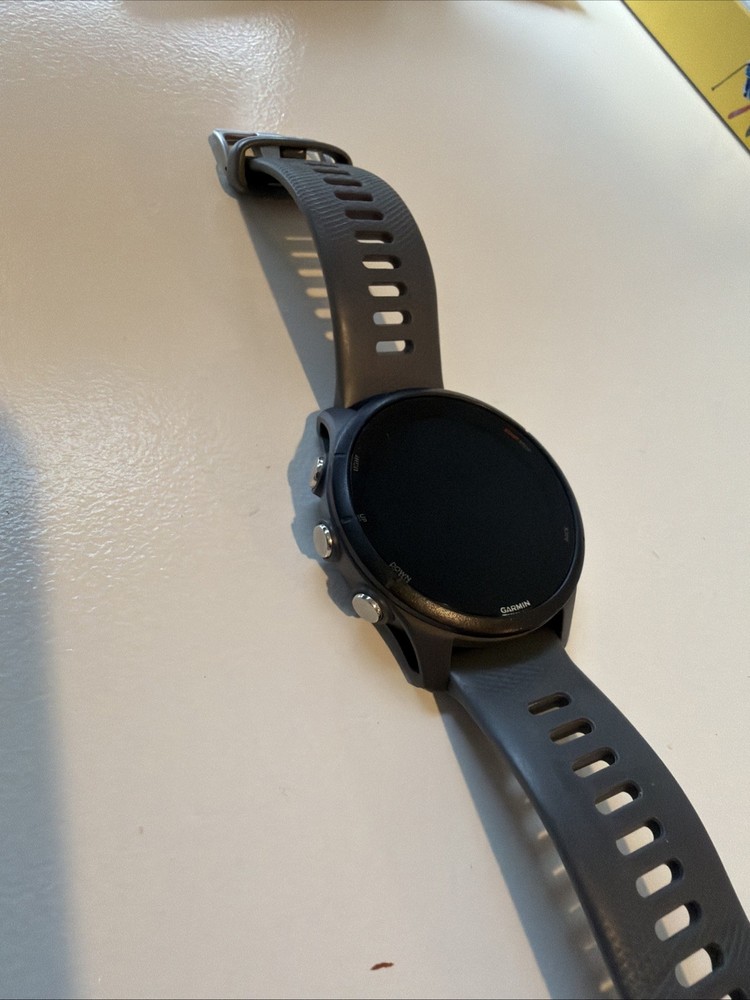 Garmin Forerunner 255 Watch - GREY WITH GRAY BAND