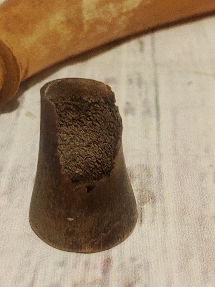 Authentic Antique Powder Horn