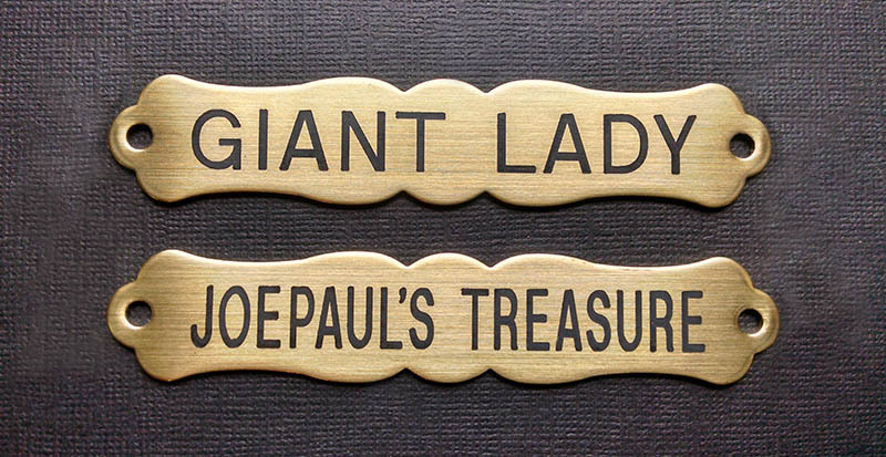 HALTER PLATE THICK ORNATE LGE Solid Brass Custom Engraved Personalized Horse