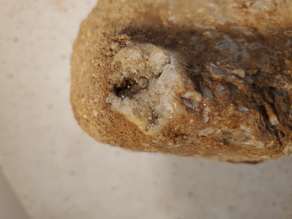 About 11 pound 14 oz Triangular Densely Packed Fossilized Shells Rock thatStands