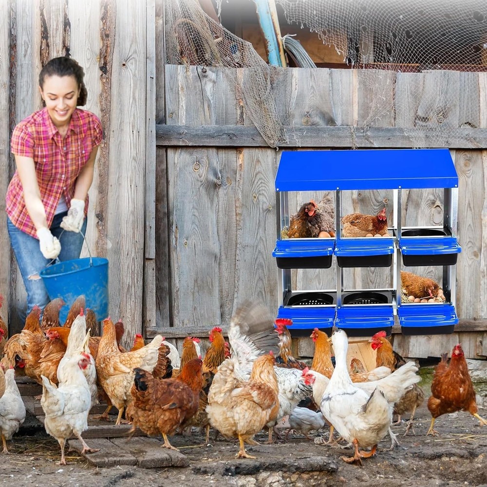 6 Hole Chicken Nesting Box Hen Egg Collection System with Rustproof Plastic Tray