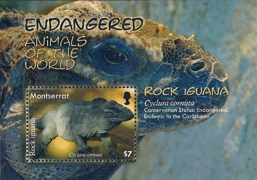 Montserrat Scott #'s 1203 MNH