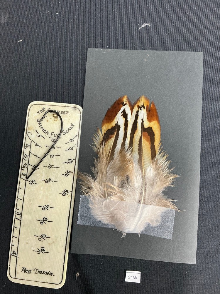 Hybrid Silver/Reeves Cross Pheasant feathers B