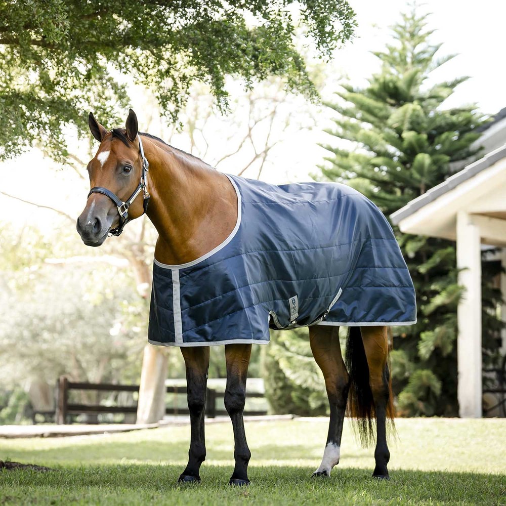 Amigo Ionic Therapy Quarter Horse Stable Blanket,