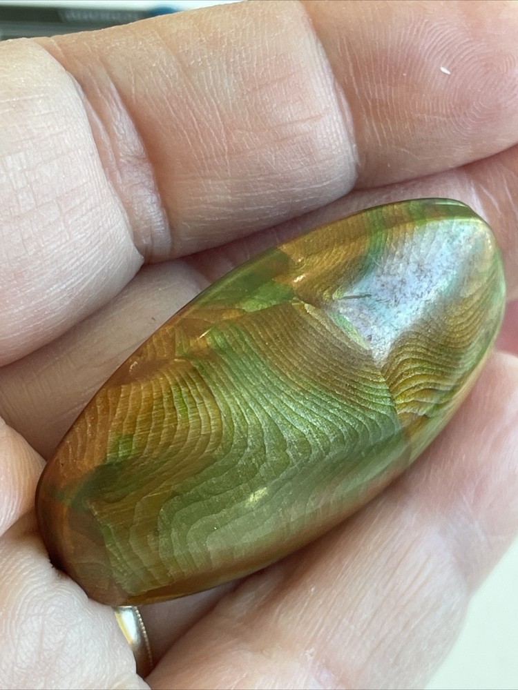 Large Unusual Hollow Celluloid Button Green Orange