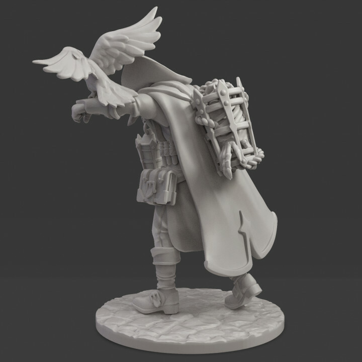 Dr. Corvus Miniature | D&D DnD | RPG | Mini
