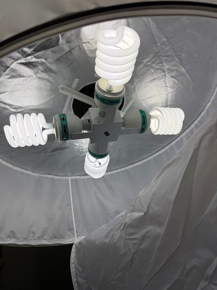 ALZO Drum Overhead Space Light (With Bulbs)