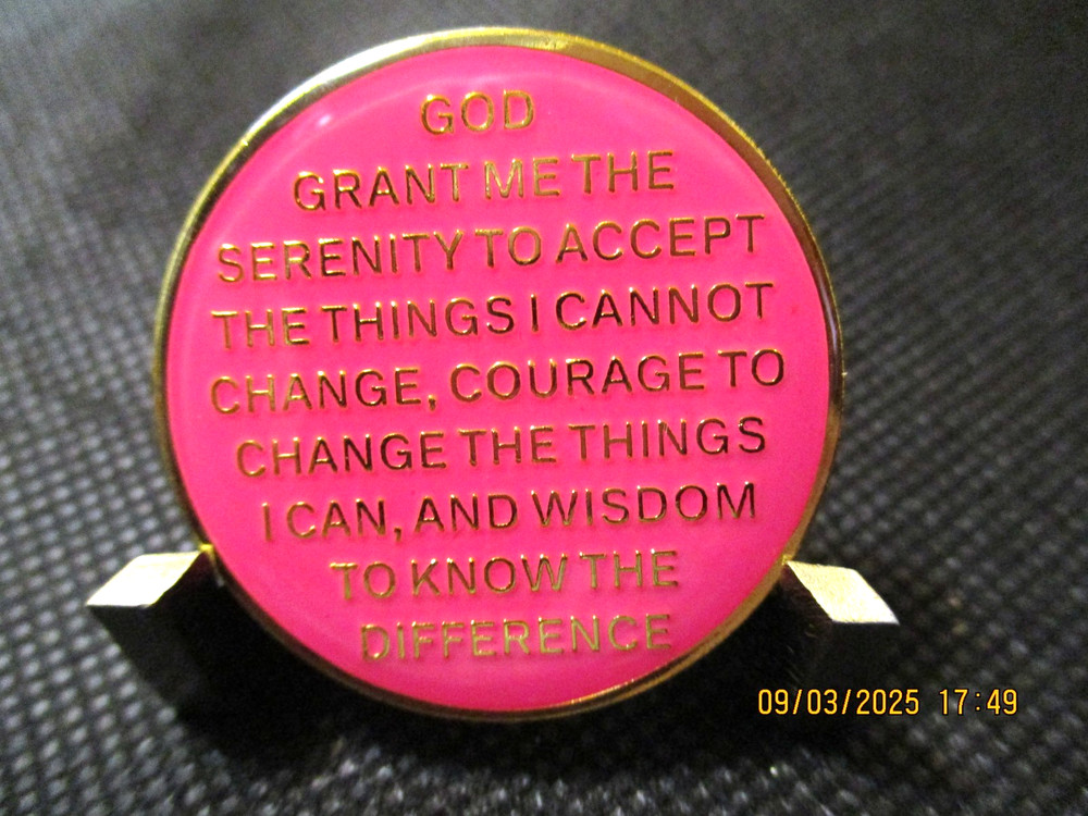 Coin Pink Butterfly Into Action Tri-plate 12 Step Programs