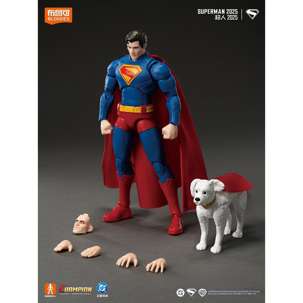 Blokees Authentic Champion Class DC Heros Superman Assembly Model Kit