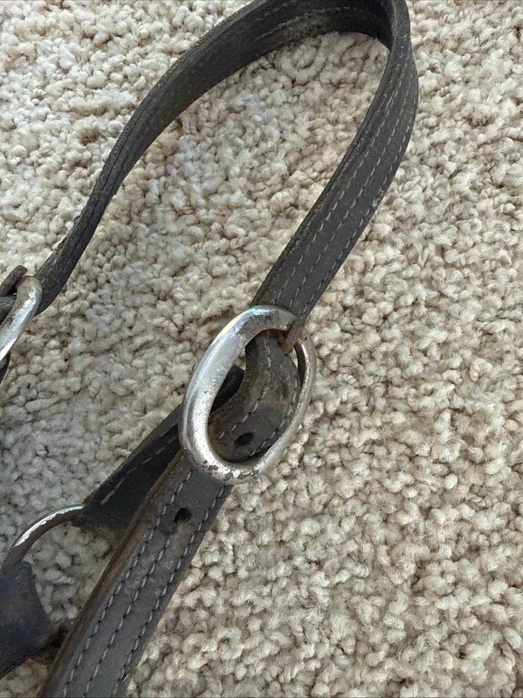 BROKEN Leathed Horse Size Halter - Use For Hardware