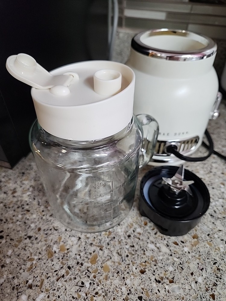 Rae Dunn Personal Blender