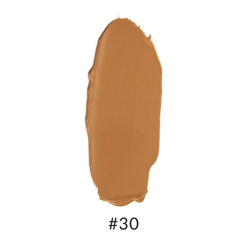 Anne T. Dote Tinted Moisturizer- (#30) Medium to Tan
