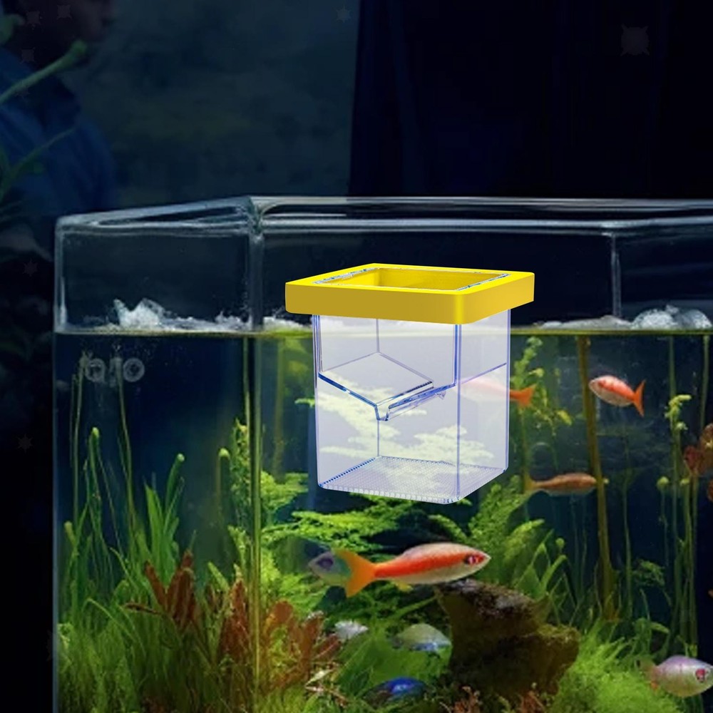 Fish Breeding Isolation Box Fish Isolation Box Floating Square Acrylic