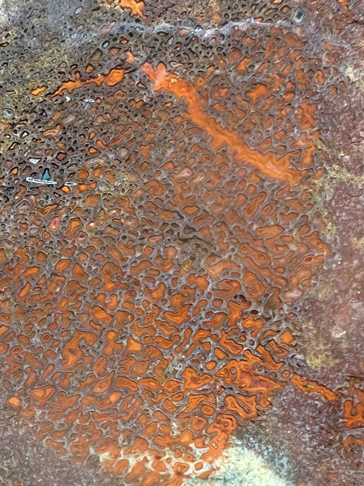 Dinosaur bone rough **hxtled large slab.