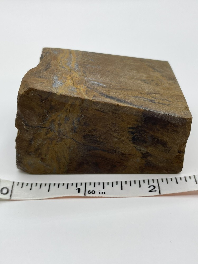 Petrified wood