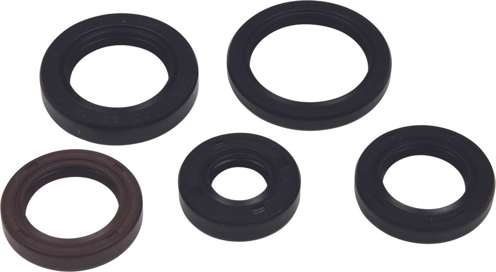 Oil Seal Kit