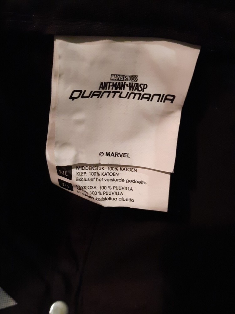 Marvel Studios Ant-Man And The Wasp Quantumania Snapback Hat