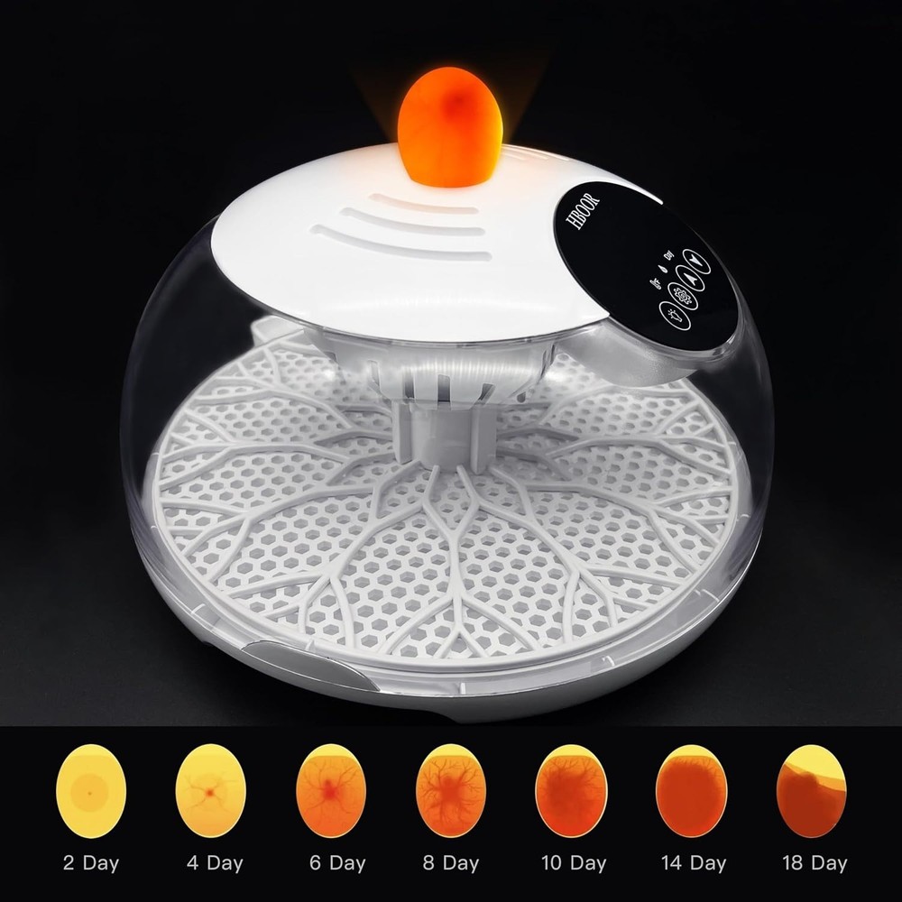 12 Egg Incubator Incubators for Hatching Eggs Chicken Egg Incubator