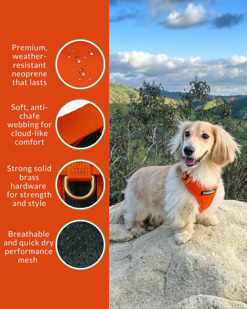 NWT Django Adventure Dog Harness - Sunset Orange