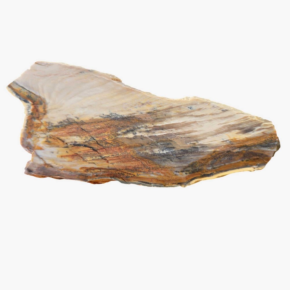 Mystery Petrified Wood Slab - Rustic Woodgrain Pattern - Thin Cut