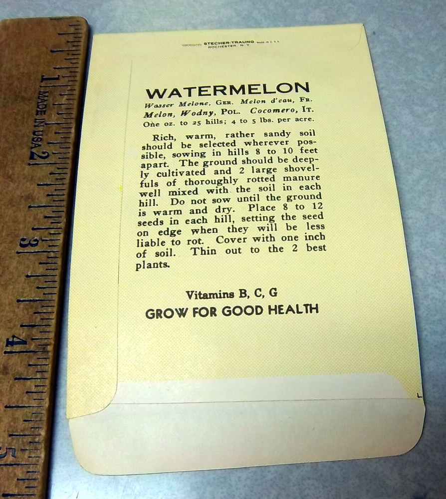 Vintage EMPTY seed pack, winter WATERMELON amazing graphics, 1930s dodson seed