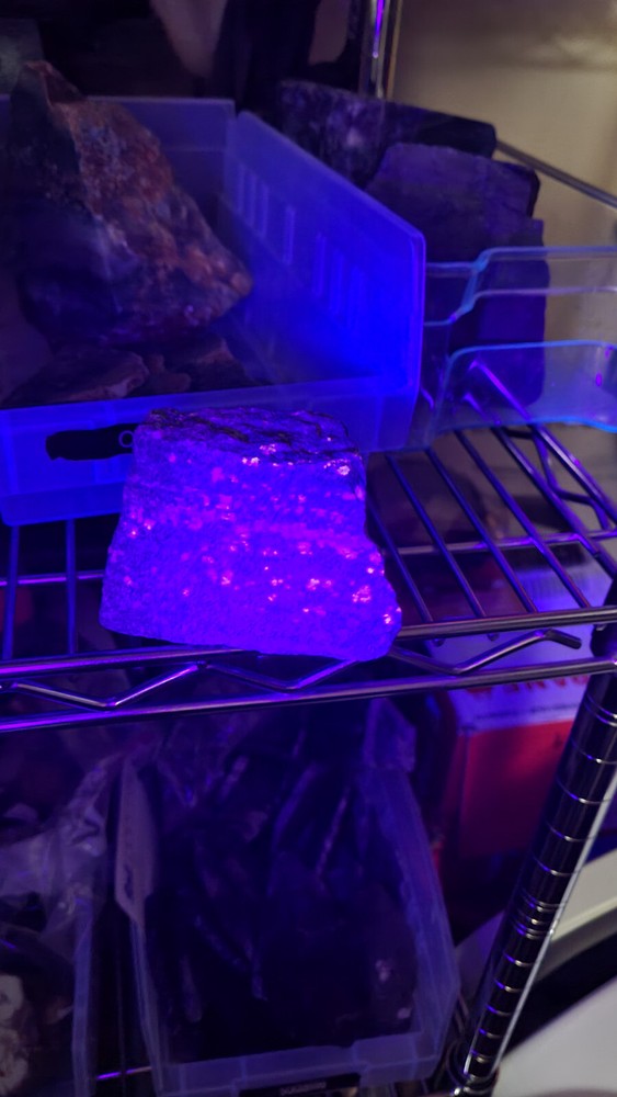 LAPIS LAZULI GEM ROUGH EXCELLENT COLOR