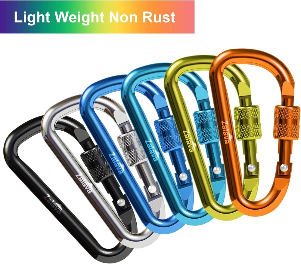 6pcs 2”D-Clip Durable Locking Carabiner Keychain Clip with Hook