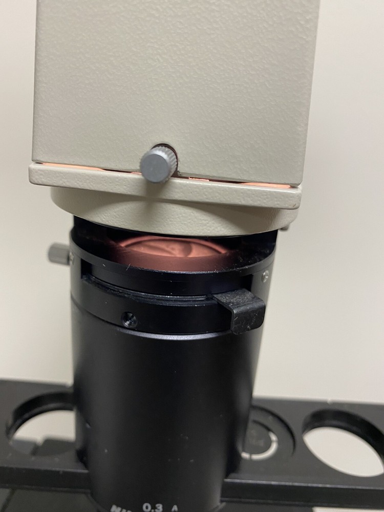 Nikon TMS Inverted Microscope TMS